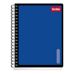 Cuaderno profesional de raya